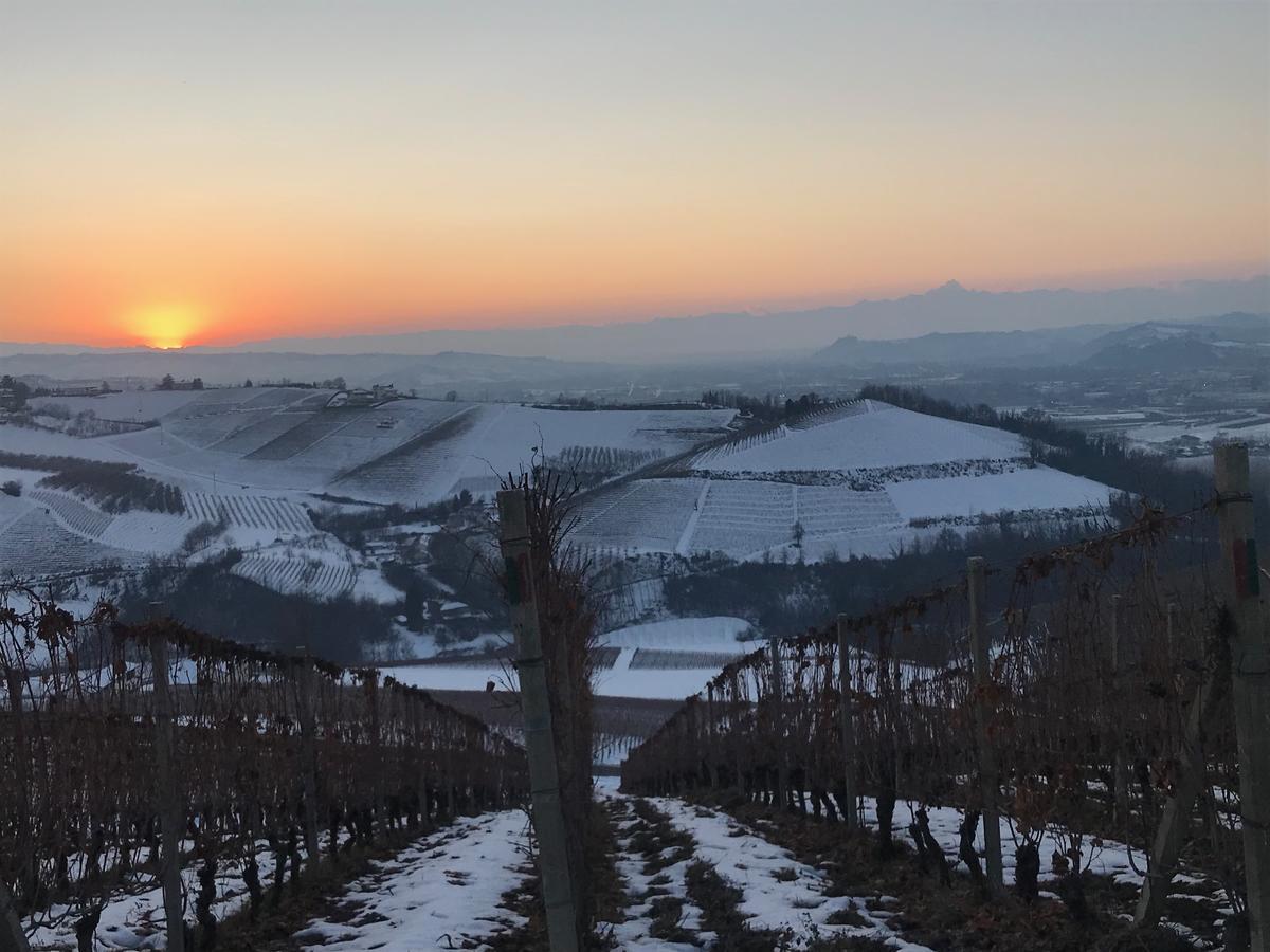 Agriturismo Tre Stelle Barbaresco Extérieur photo